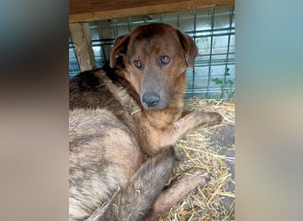 Jesper - muss Vertrauen fassen