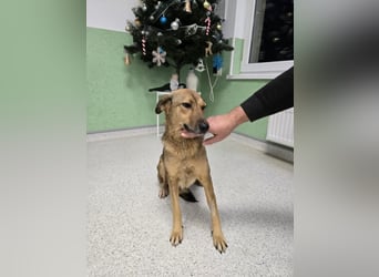 Jessy - sanft und freundlich