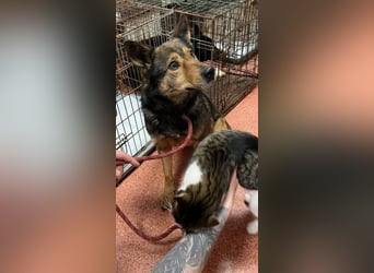 Jerry wartet schon unfassbar lange