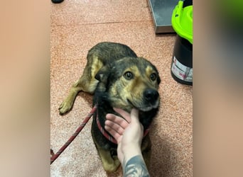 Jerry wartet schon unfassbar lange