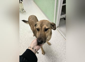 Jessy - sanft und freundlich