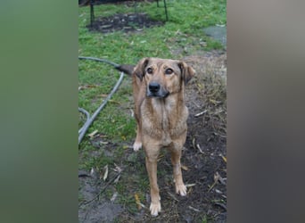 Jessy - sanft und freundlich