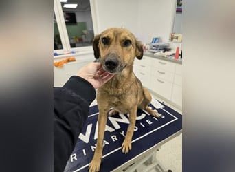 Jessy - sanft und freundlich