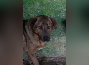 Jesper - muss Vertrauen fassen