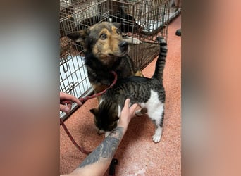 Jerry wartet schon unfassbar lange