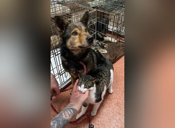 Jerry wartet schon unfassbar lange