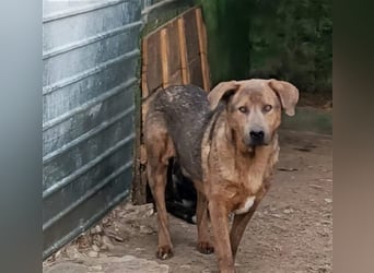 Jesper - muss Vertrauen fassen