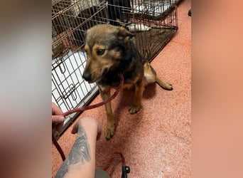 Jerry wartet schon unfassbar lange