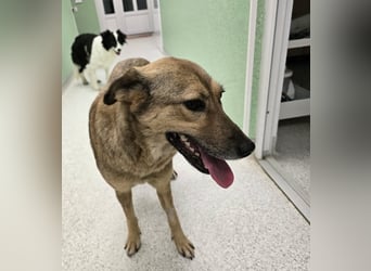 Jessy - sanft und freundlich