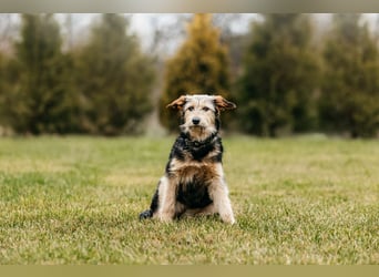 Sonnenschein Gina sucht ihre Menschen