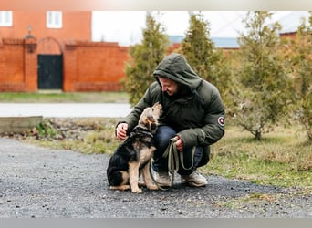 Sonnenschein Gina sucht ihre Menschen