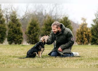 Sonnenschein Gina sucht ihre Menschen