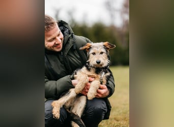 Sonnenschein Gina sucht ihre Menschen