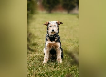 Sonnenschein Gina sucht ihre Menschen