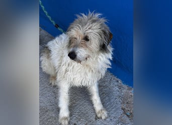 Peque, katzenfreundlich und gemütlich