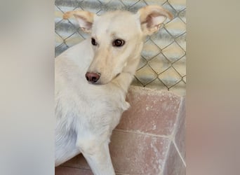 Ein leises Herz sucht leise Liebe, Bombay sucht seine Menschen