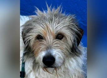 Peque, katzenfreundlich und gemütlich