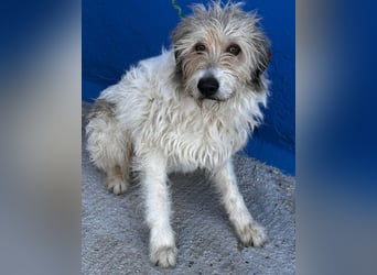 Peque, katzenfreundlich und gemütlich