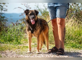 Everest sucht Dich