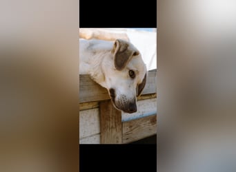 Alberta (3) wartet auf Dich