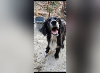 Lori sucht eine Familie