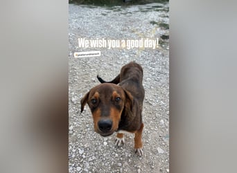 Rio (7 Monate) hat schon so viel durchgemacht