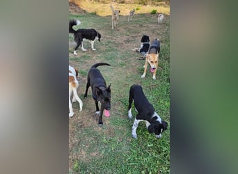Lila (2) wünscht sich eine Familie