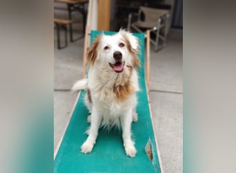 Yoshi (9) sucht einen ruhigen Platz
