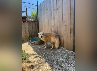 Axel (4) sucht ein sicheres Zuhause