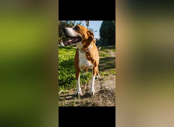 Fanja (8) unsere Kämpferin mit Herz