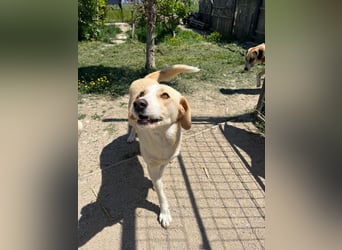 Cleo (2) ist bereit für ein Zuhause