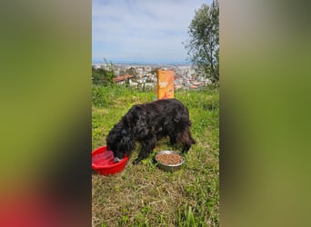 Lori sucht eine Familie
