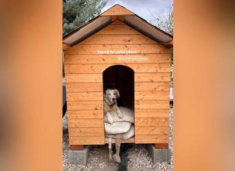 Yoshi (9) sucht einen ruhigen Platz