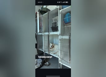 Yoshi (9) sucht einen ruhigen Platz