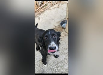 Lori sucht eine Familie