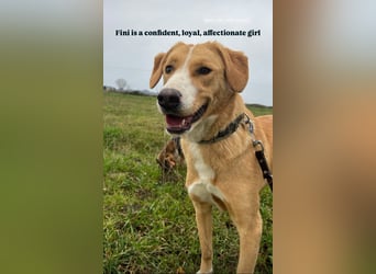 Finy (3) freut sich auf eine liebevolle Familie
