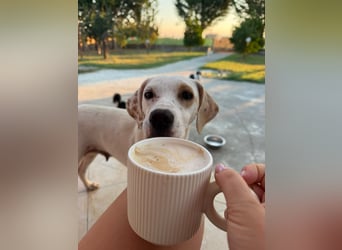 Murphy (3) sucht Ihr Happy End