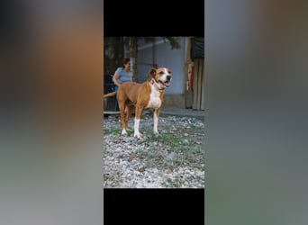Fanja (8) unsere Kämpferin mit Herz
