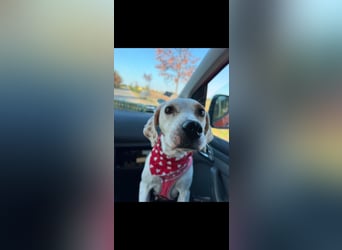 Murphy (3) sucht Ihr Happy End