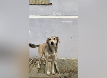 Ibu (2) ist bereit für Ihr neues Leben