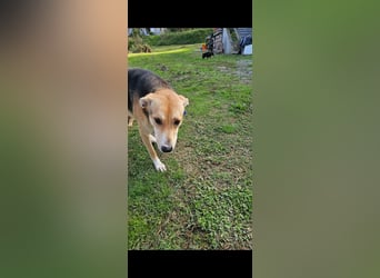 Lila (2) wünscht sich eine Familie
