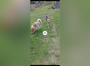 Lila (2) wünscht sich eine Familie