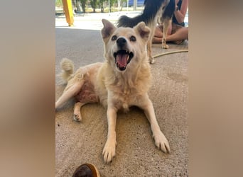 Josie (8) sucht einen Platz zum Entspannen