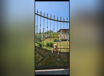 Lila (2) wünscht sich eine Familie