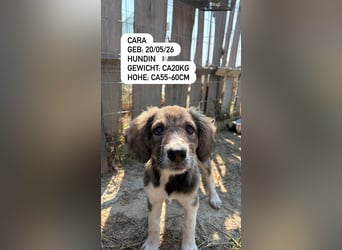 Cara möchte mit dir die Welt erkunden