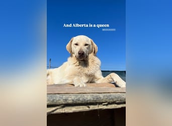 Alberta (3) wartet auf Dich