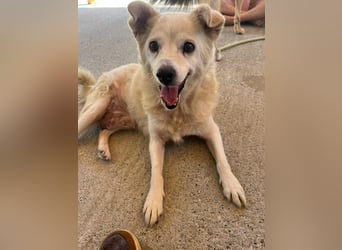 Josie (8) sucht einen Platz zum Entspannen