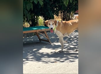 Emma (4) ist bereit für einen Neustart