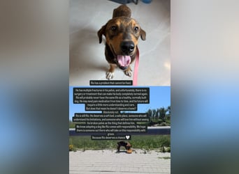 Rio (7 Monate) hat schon so viel durchgemacht