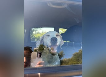 Murphy (3) sucht Ihr Happy End